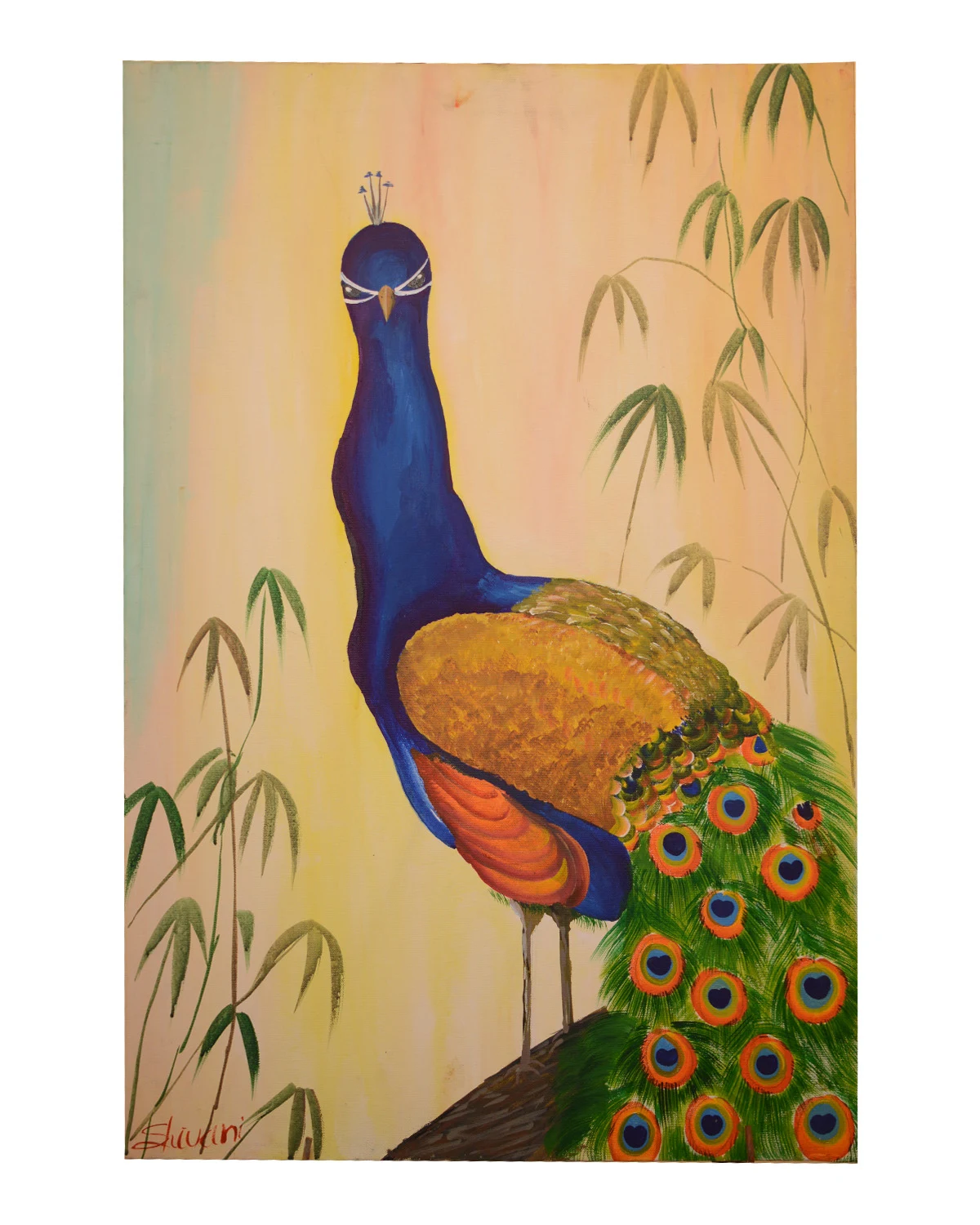 Peacock of Tranquility